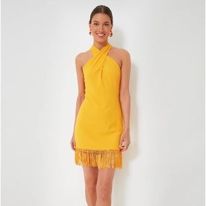 NEW Tuckernuck Dress